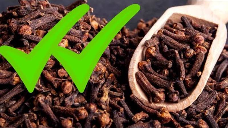 Зачем жевать сушеную ГВОЗДИКУ каждый день? БАБУШКИН СЕКРЕТ!