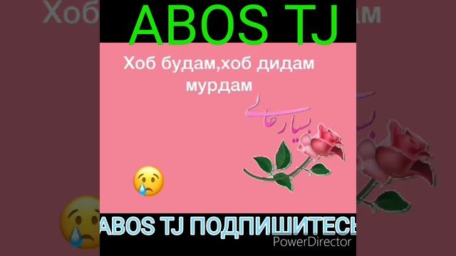 ХОБ ДИДАМ МУРДА БУДАМ. ИНРУЗ ДАР САРИМО ДАР КАБР МЕОЯД БА ДИГАРОН РАСОНЕН ИЛТИМОС