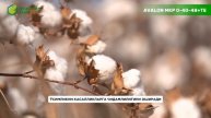 AVALON MKP 0-40-48+TE ЎҒИТИ