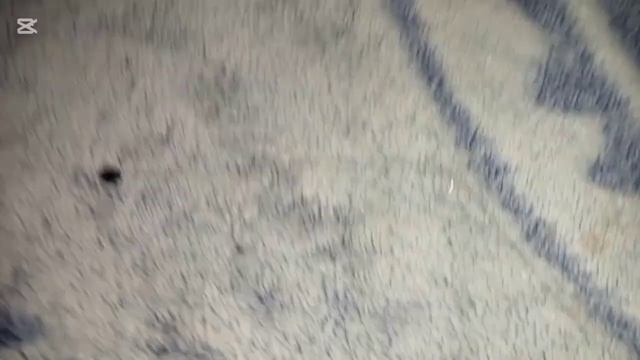 КАК СДЕЛАТЬ СНАСТЬ СКОЛЬЗЯЩИЙ ПОПЛАВОК НА ЛЕТО!!!!!