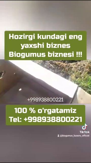 kaliforniya qizil yomgir chuvalchangi biogumus калифорния чувалчанги биогу