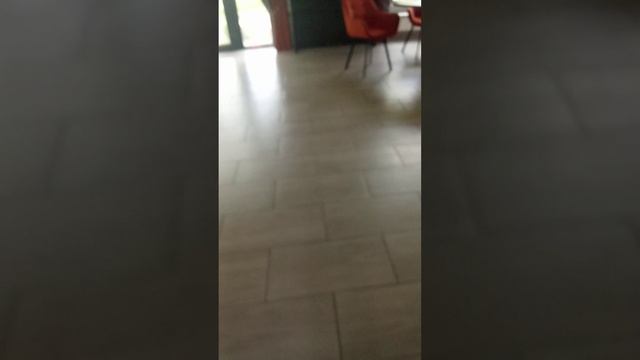 реакция родителя на медаль