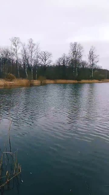рыбалка на спиннинг #рыбалка #рыбалканаозере #fishing