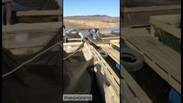 Садки-иваносетр.рф тел. +7 (927) 059-02-97 Консультация беспла