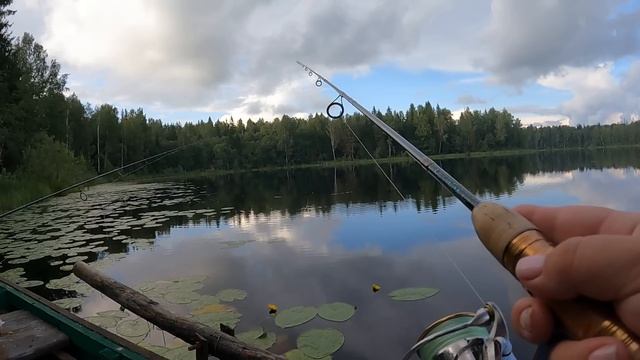 Щука на поплавок. Живец на поплапопер. Эта снасть всег?