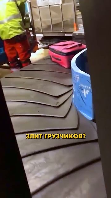 🟥Почему Красные Чемоданы Грузят Первыми? Первыми?