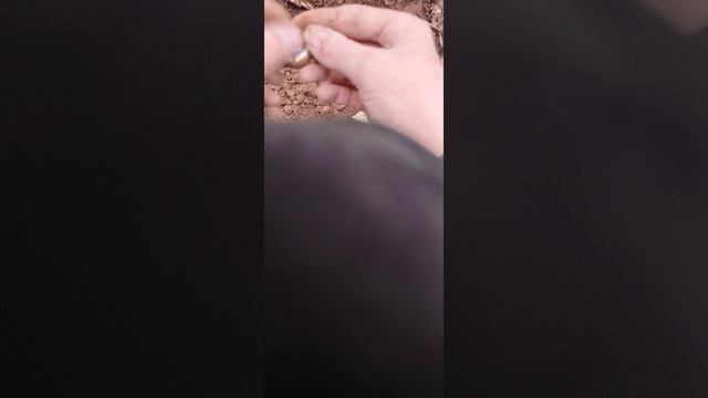 калуга коп 2ч.