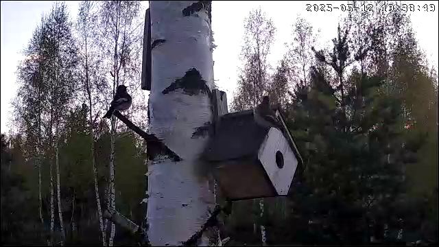 Выбор дома