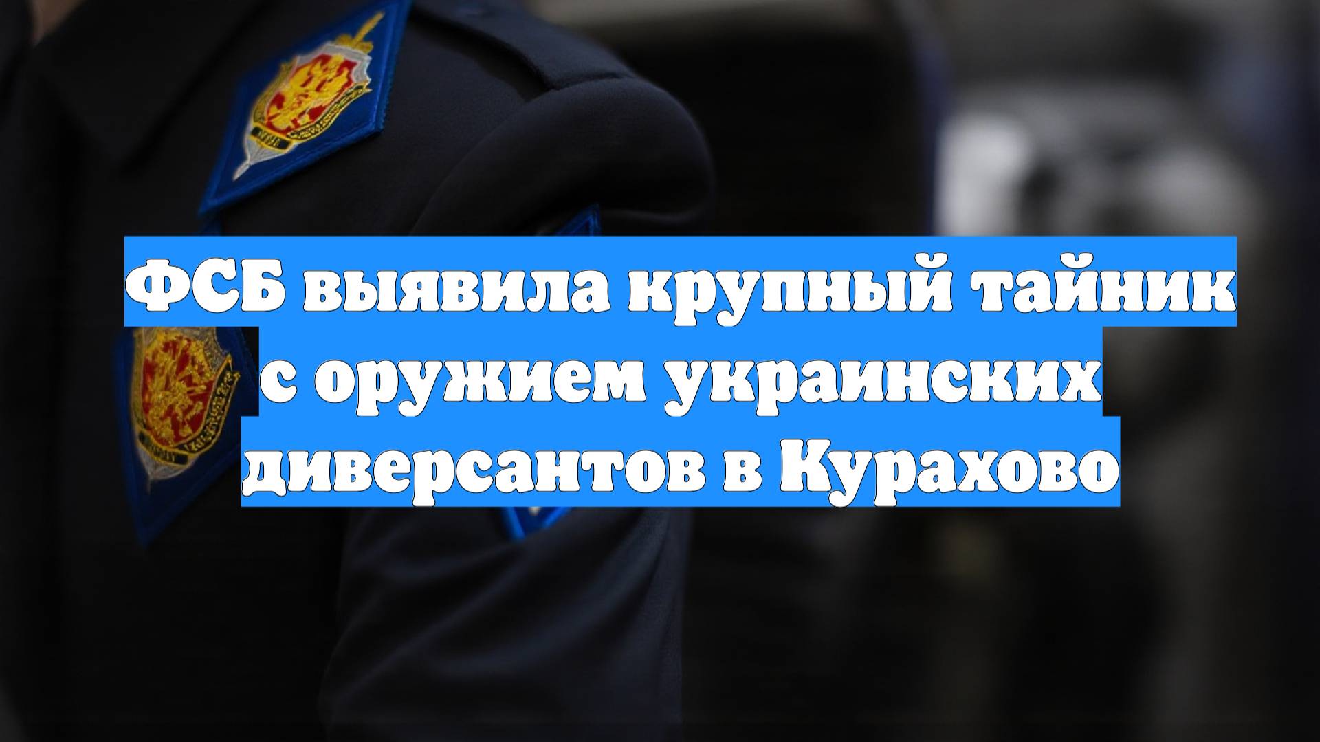 ФСБ выявила крупный тайник с оружием украинских диверсантов в Курахово