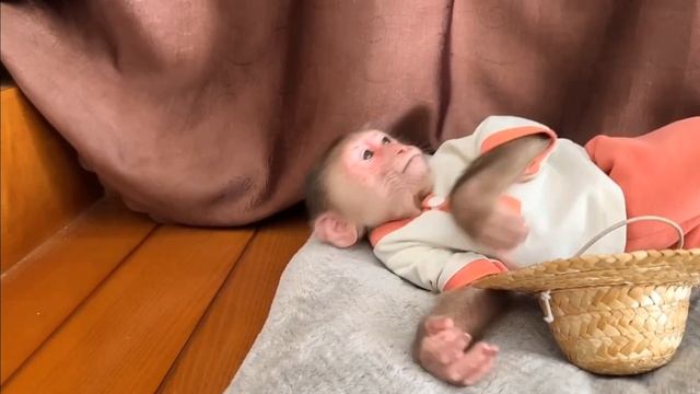 Обезьянка КРОХА с прогулки холодного молока Расчихалась СОК Уснула ДОБРАЯ милота _ __ ФОНД ВИДЕО
