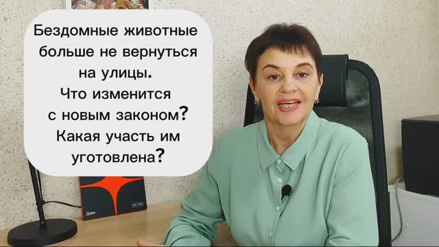 Бездомные животные больше не вернуться на улицы Что измениться с новым законом Какая участь им угото