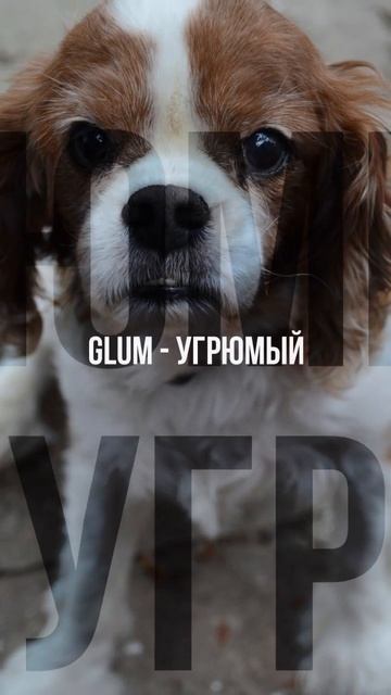 Слова на букву G
