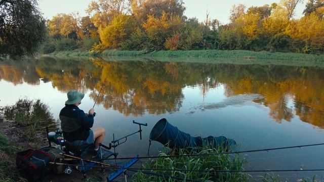 Рыбалка в Брестской Крепости, Фидер На Реке Буг