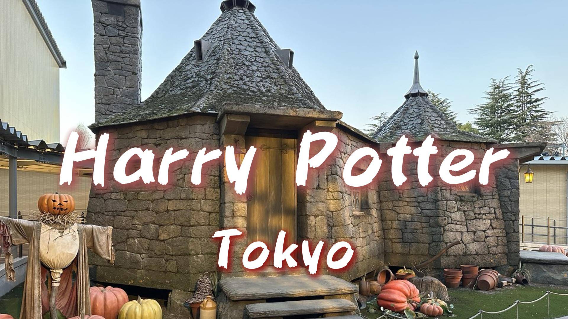 Гарри Поттер. Тематический парк в Токио 2024