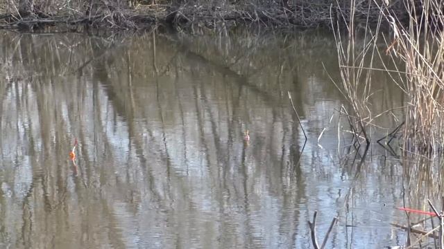 Взял жену на рыбалку и сразу  клюнул трофей