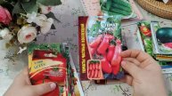 Какие сорта семян сажать в огороде часть (4)