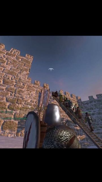 Assault⚔️ #mountandblade #rpg #game #gaming #gameplay #games #gamer