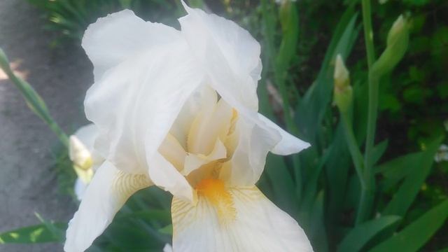 VID_20250507_091503