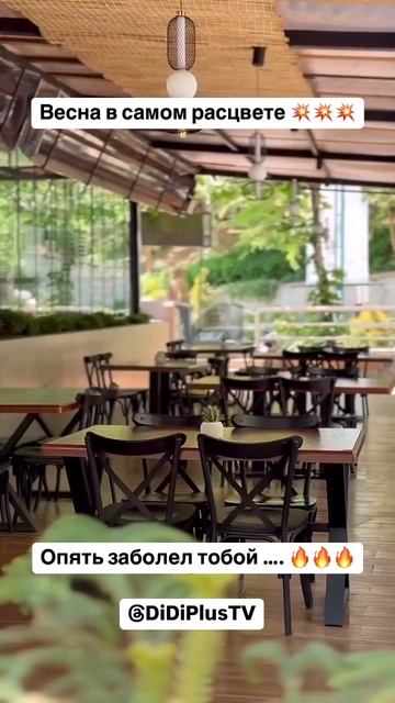 Весеннее настроение. #iran #иран #tehran #тегеран #travel #food #путешествия #music #путешествия
