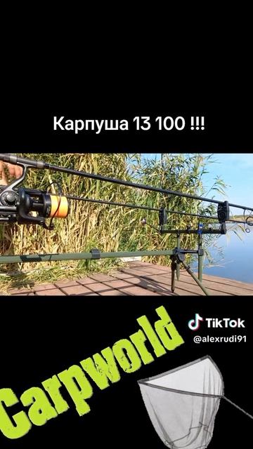 Звук на всю, лучший звук карповой рыбалки))