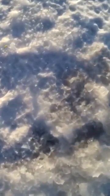Рыбалка 🎣 подход омуля #шорст #друзья #nature #отдых #буря