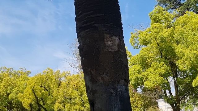 20230525_150908