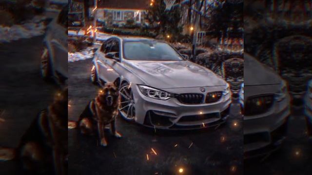 🥀⚜️Новая песня 2025🌚 🌪️бомба 🔱свадебная для молодежи😻⚜️🖖🏿🌸💦