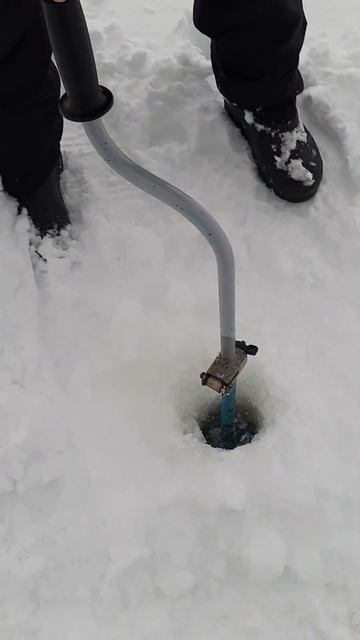 зимняя рыбалка#Шлюзовой#Золотая рыбка