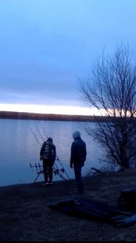 карповики #shorts #carpfishing #рыбалка_с_русиком #trending #рыбалка