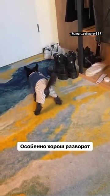 Особенно хорош разворот.