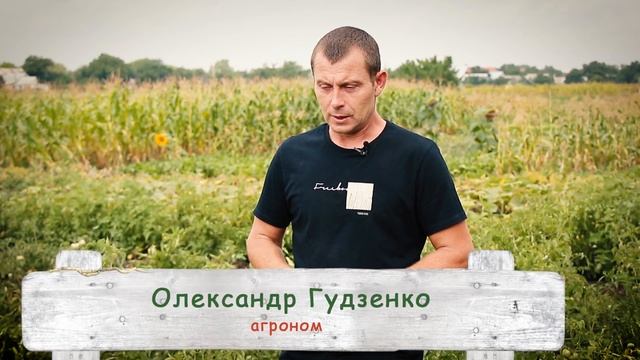 Сингента. Препараты природного происхождения