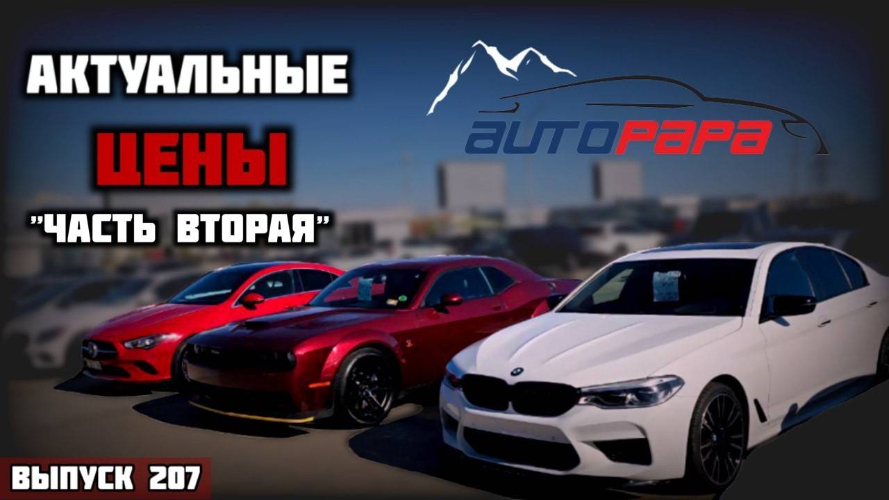 АВТОПАПА шок КОНТЕНТ! Обзор цен рынок AUTOPAPA. Мастер Вадя.mp4