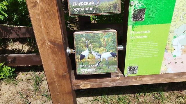 интересные стенды в окском заповеднике