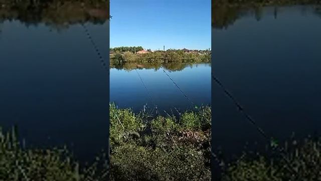 Alex 58  в прямом эфире! На рыбалка Пенза