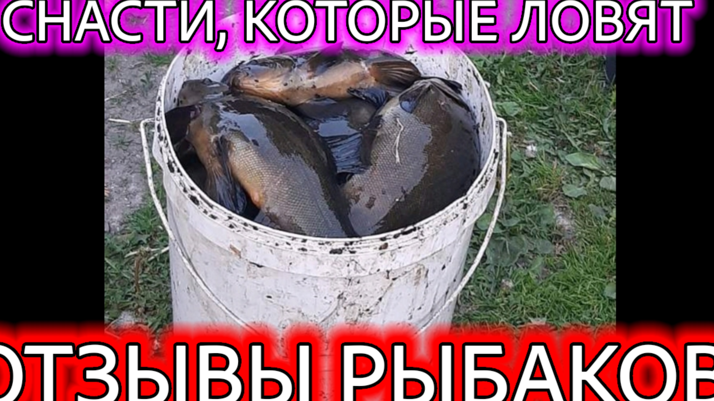 УЛОВИСТЫЕ СНАСТИ на Сазана, Карася, Леща , всей Карповой рыбы. Отзывы рыбаков.