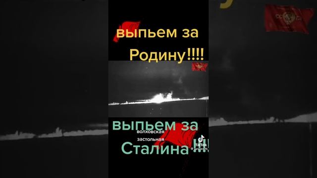 Выпьем за Родину!