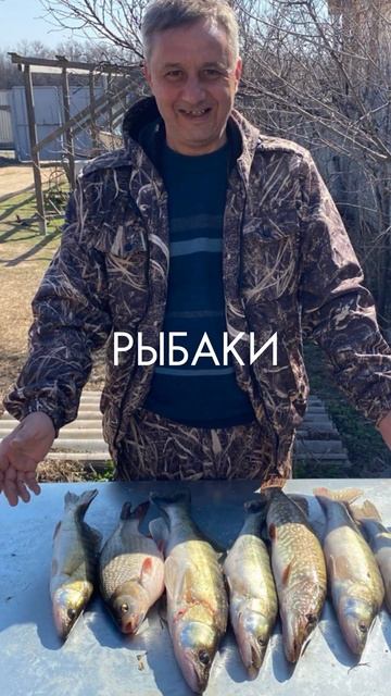 Самые частые гости "Трофейного дома" #car #рыбалка #рыбал