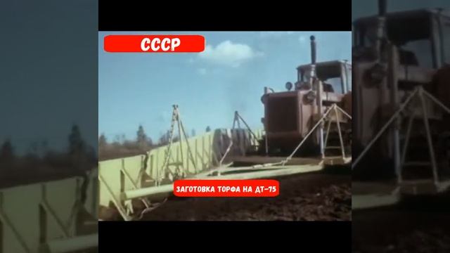 🔆Заготовка торфа(Дт-175 с валкователем и фрезой)#1