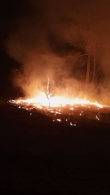 Пожар в Свободненском районе