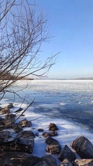 ледяные медузы плывут по кромке льда по Волге #Волгогр