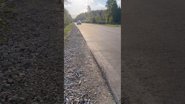 Проблема с волнистым попугаем