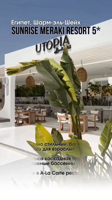 #египет #тур