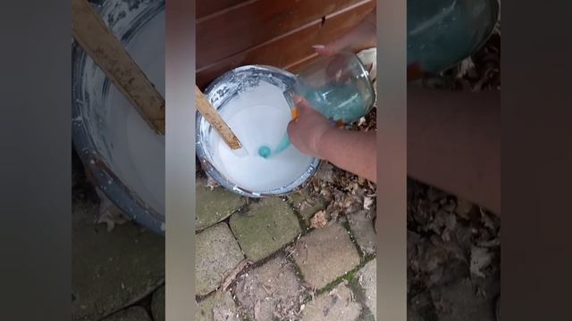 защита деревьев от грибков плесени, гошёная известь и