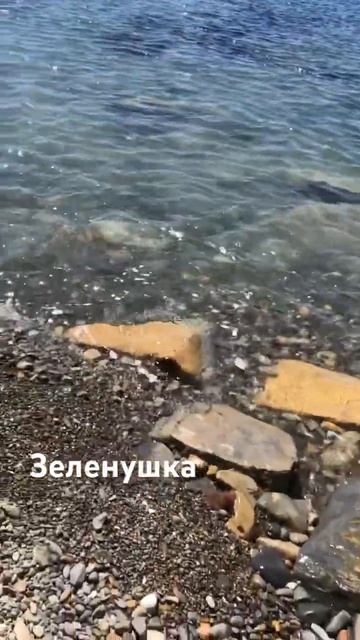 Морская рыба зеленушка#Анапа#черное море#рыбалка#2024