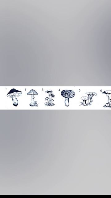 Школьные годы чудесные #biology #science #природа #school #teacher #bike