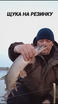 ЩУКА НА РЕЗИНКУ