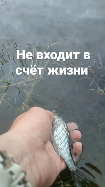 Время, проведенное на рыбалке...