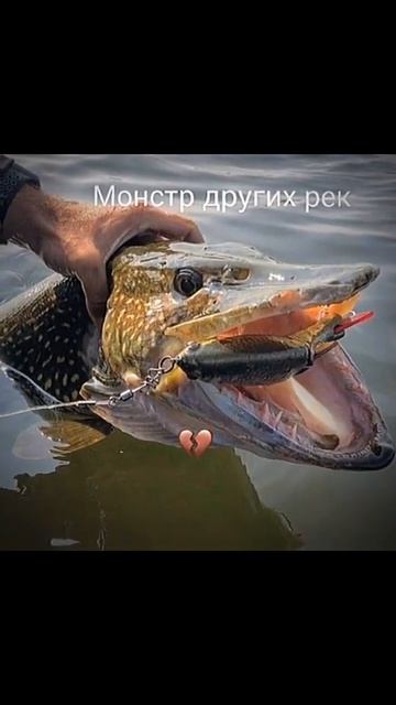рыбалка #смех #угар #приколы #рыбак #чудо #радость #выхо?