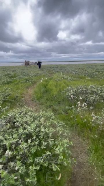 Погрузка рыбы #рыбаки #fishing #россия #рыбалка #рыбалкана?