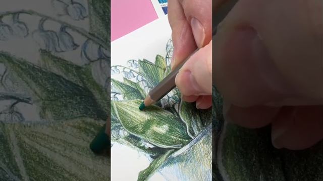 👀 Новый обзор от Dari Art: цветные карандаши Graf Art Color от Малевичъ